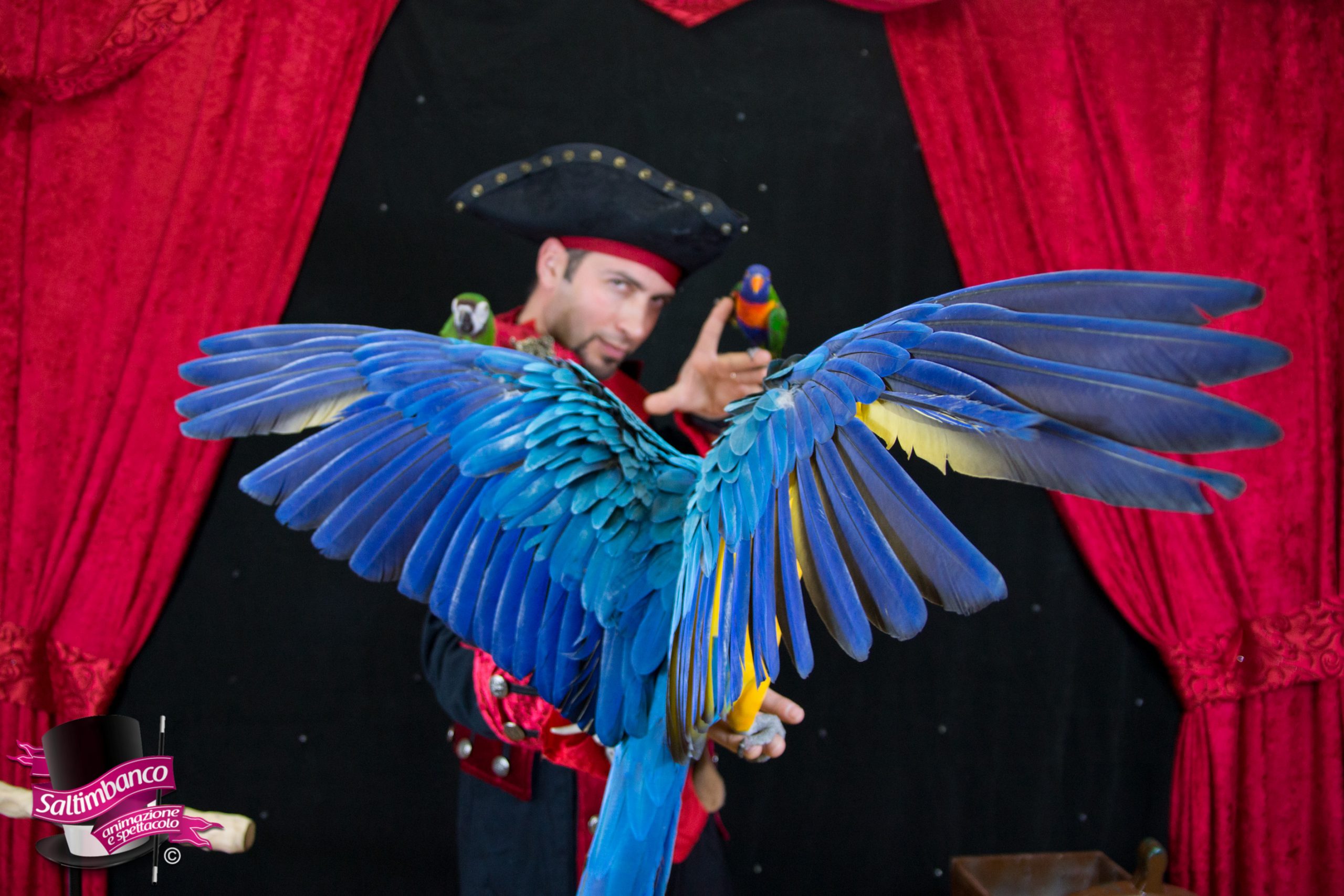 Cos’è uno spettacolo di magia per bambini e perché è necessario!