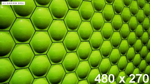 1507